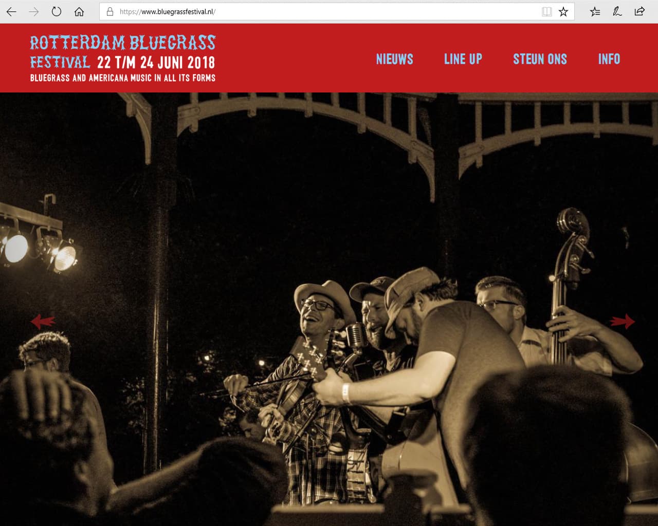 Voorbeeld Bluegrass Festival