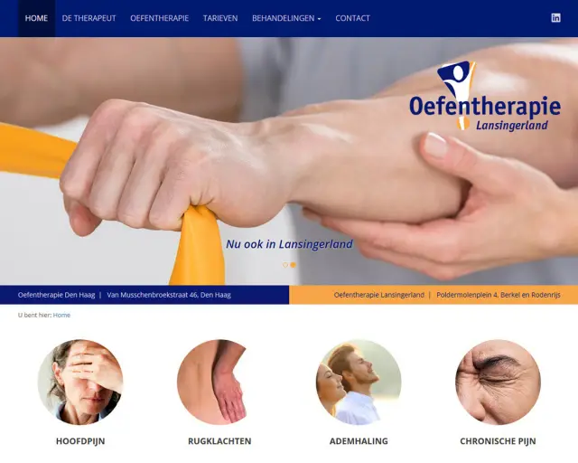 Website Oefentherapie Lansingerland